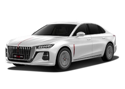 EVA коврики на Hongqi H5 II 2022 - 2025 в Нальчике
