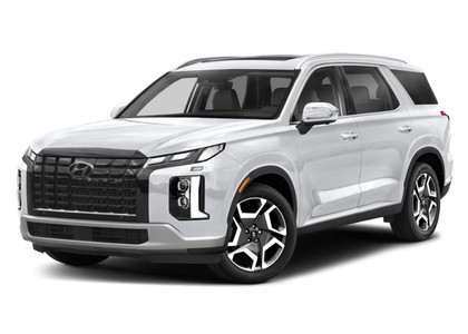 Коврики на Hyundai Palisade 2018 - 2025 в Нальчике