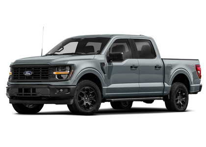 Ворсовые коврики на Ford F150 2020 - 2025 в Нальчике