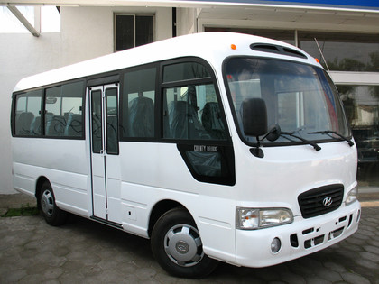 Коврики на Hyundai County 2006 - 2016 в Нальчике
