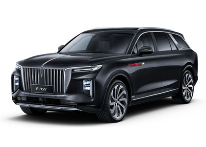 Коврики на Hongqi E-HS9 2022 - 2025 в Нальчике