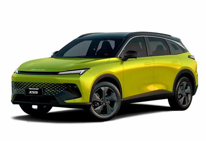 Ворсовые коврики на Baic X55 2022 - 2025 в Нальчике