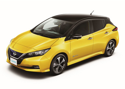 EVA коврики на Nissan Leaf (ZE1) 2017 - 2025 в Нальчике