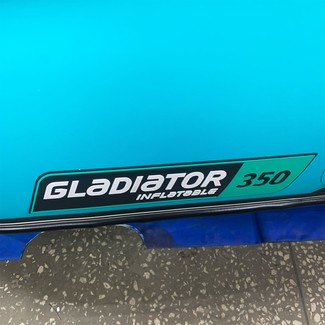 Ворсовые коврики на Лодки Gladiator E350S  в Нальчике