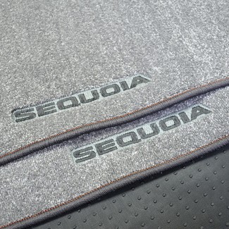 EVA коврики на Toyota Sequoia I 2001 - 2008 в Нальчике
