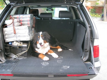 EVA коврики на BMW X5 (E53) 1999 - 2006 в Нальчике
